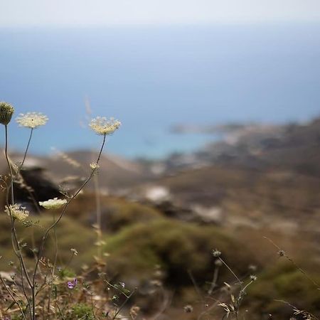 Kea 360 Villas- Dionysos Den Korissia  외부 사진